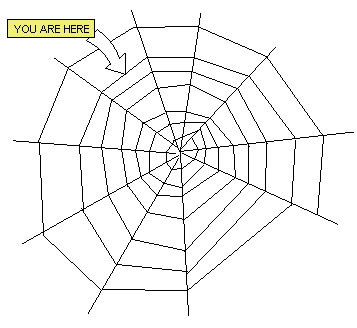 [IMAGE: A spider web with an arrow pointing to a spot on the web.]